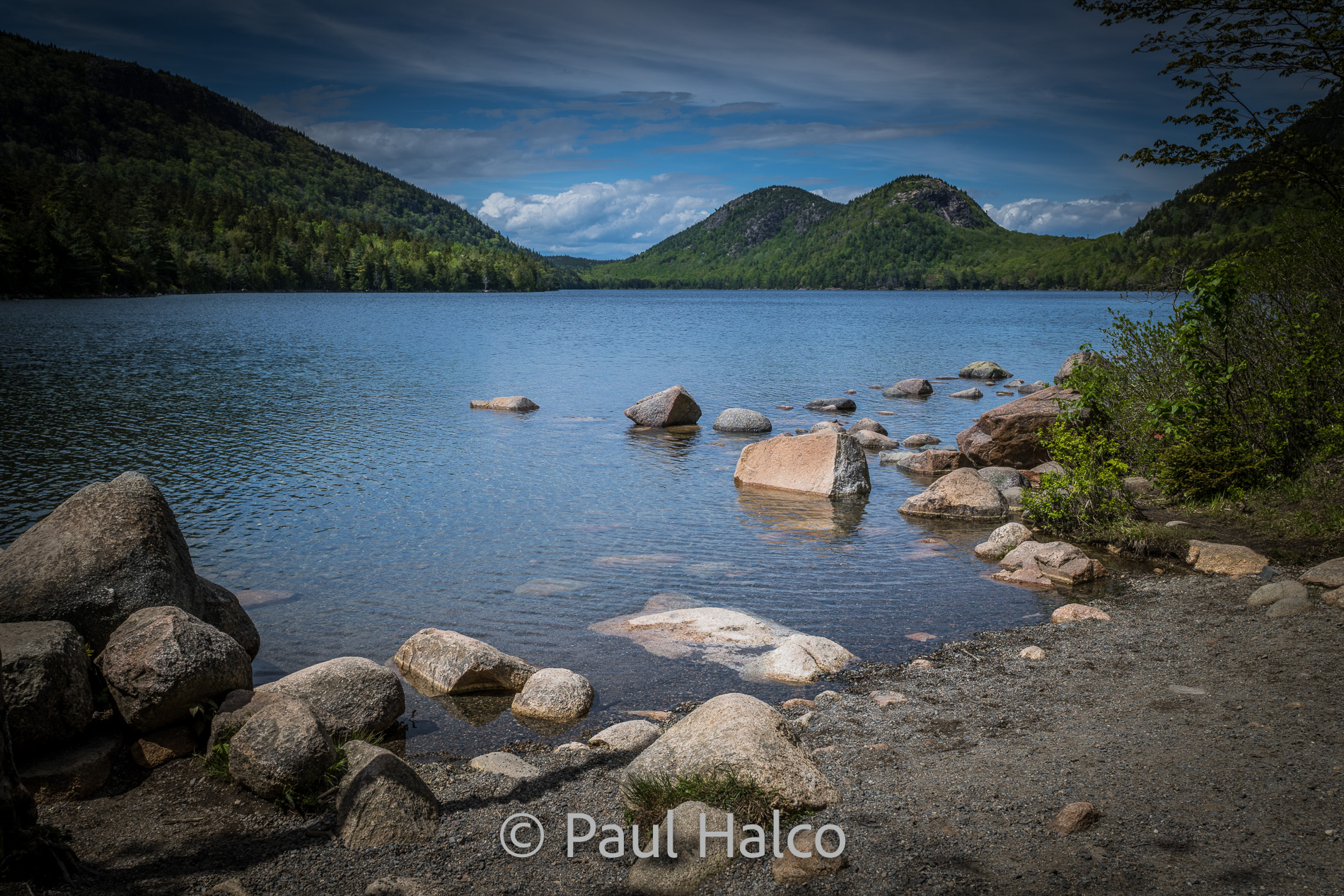 Paul Halco-Acadia NP-24